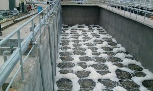 Sự cố bùn vi sinh là gì? Nguyên nhân và cách khắc phục