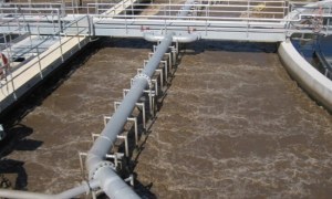 Bùn vi sinh là gì? Phân loại và quá trình hình thành